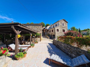 Mes Maisons, Two Gites sleeping 13 with Two Private pools, Kids Room, Laundry, Disco, free WiFi, Linen and Dog's are Welcome